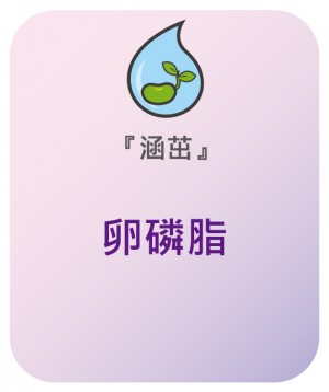 涵芽 卵磷脂 (軟膠囊)
