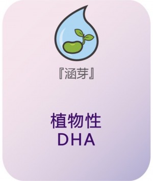 涵芽 植物性DHA (軟膠囊)